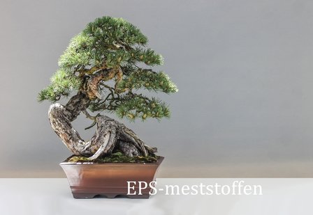 EPS bonsai