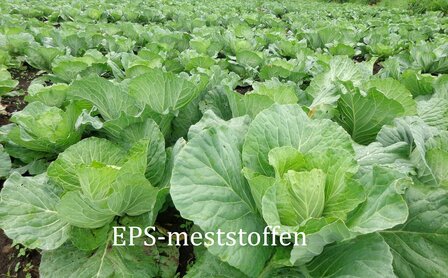 EPS groei