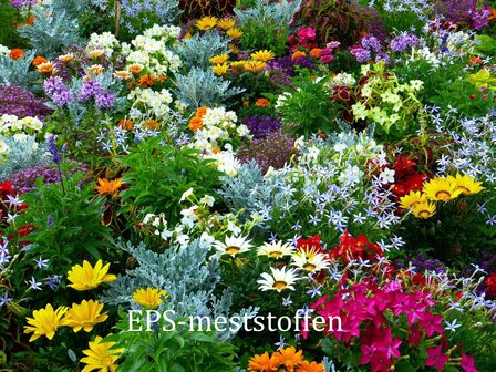 EPS  bloei