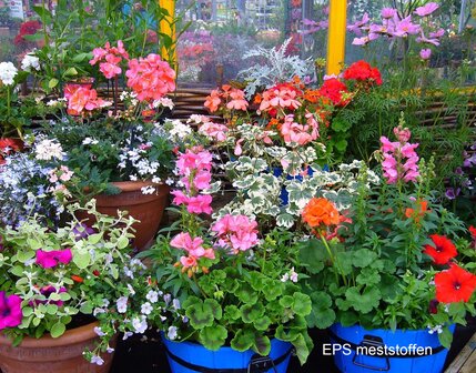 Information for growing pot and bedding plants.