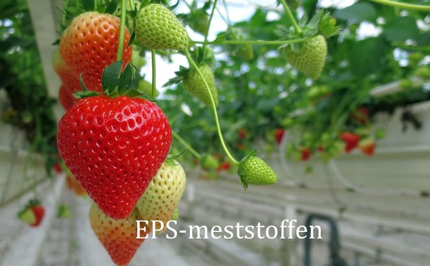 EPS LED bloei