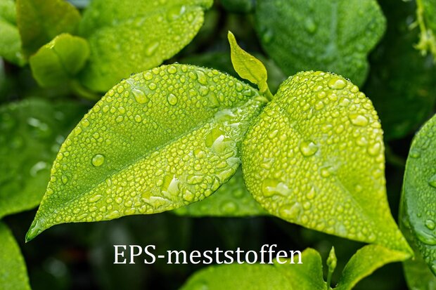 EPS Bladvoeding