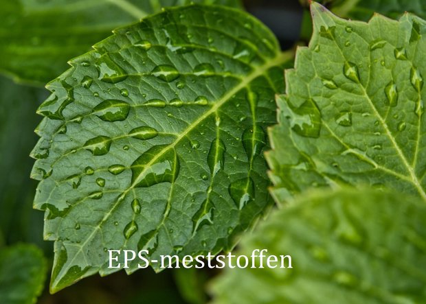 EPS Bladvoeding