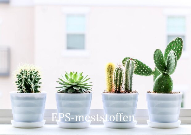 EPS vetplant/cactus