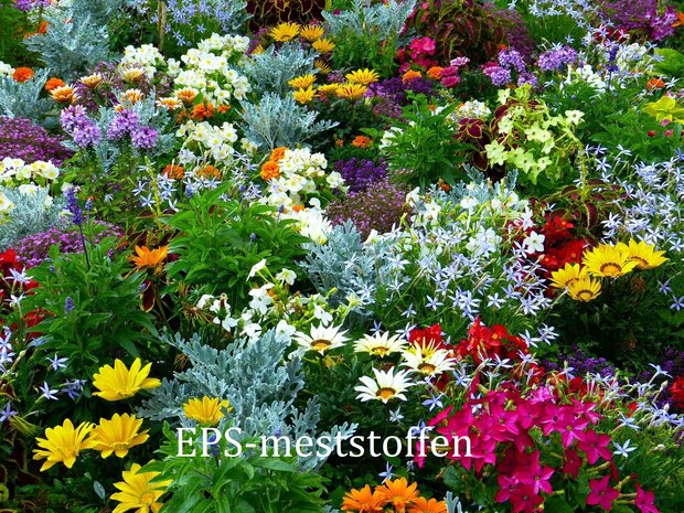 EPS  bloei